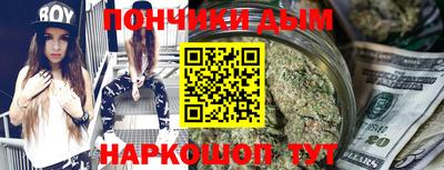 шишки Кингисепп