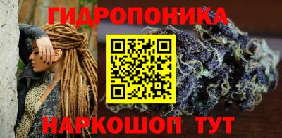 шишки Кингисепп