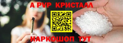 шишки Кингисепп