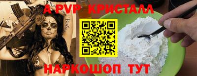 шишки Кингисепп