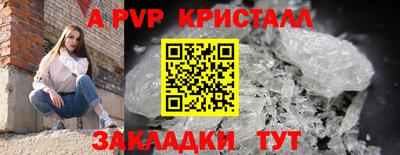 шишки Кингисепп