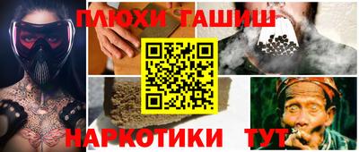 шишки Кингисепп