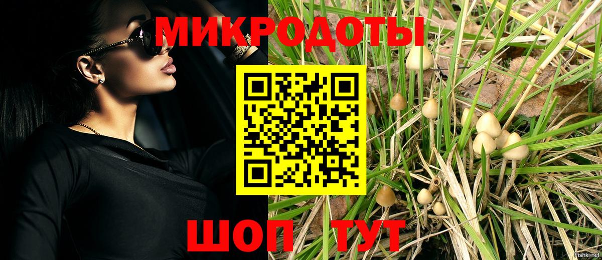 Галлюциногенные грибы мухоморы  Вход с VPN  цены наркотик  Карачаевск 